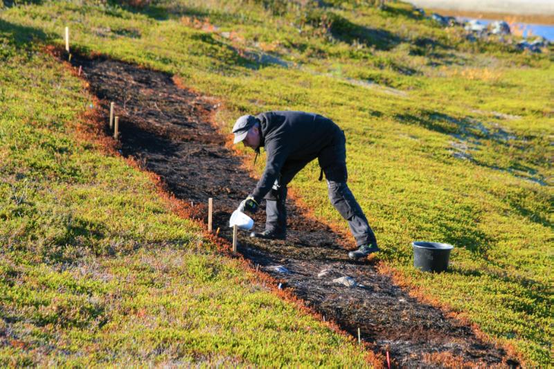 This image has an empty alt attribute; its file name is kalkinghelenaklockener.jpeg